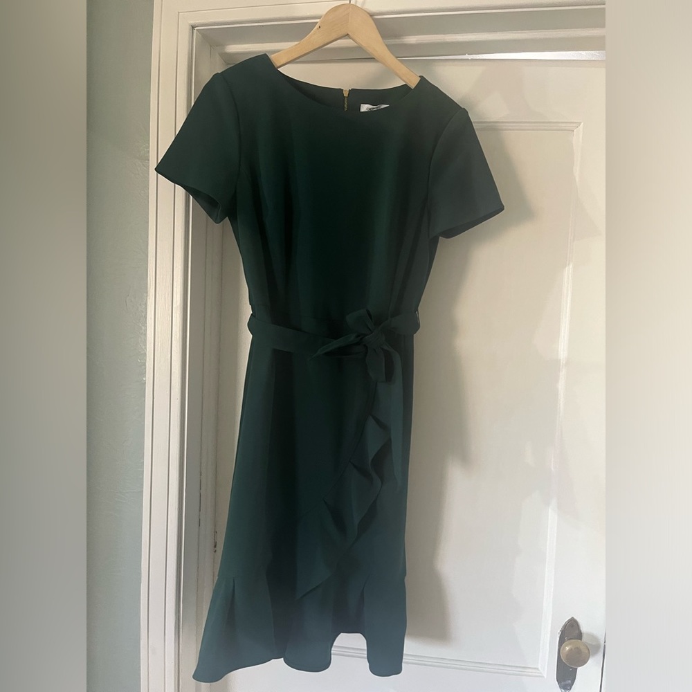 Calvin Klein Tie Waist Ruffle Hem Dress 10